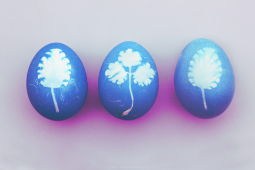Distintas Pascuas